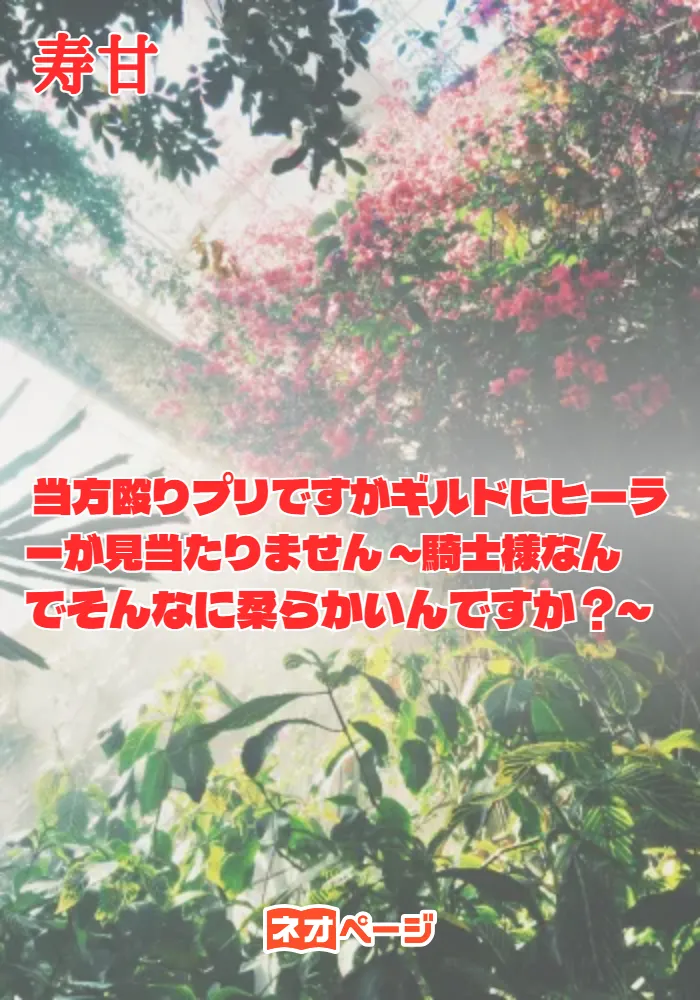 当方殴りプリですがギルドにヒーラーが見当たりません ～騎士様なんでそんなに柔らかいんですか？～