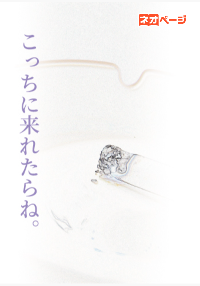 こっちに来れたらね。