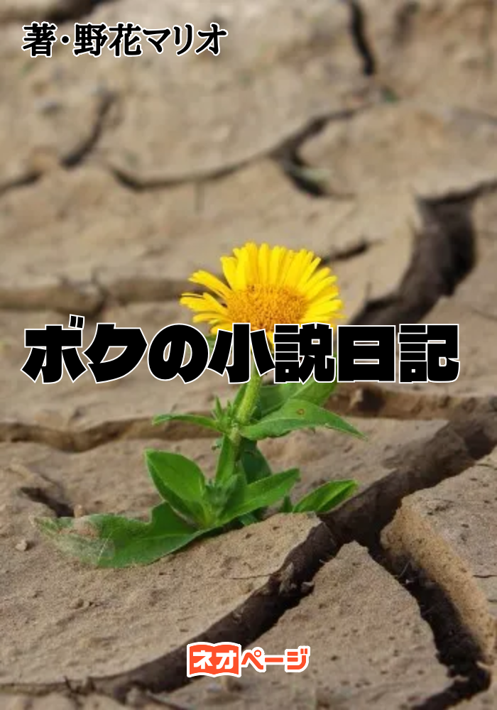 ボクの小説日記